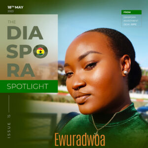 diaspora investment desk - made by radw