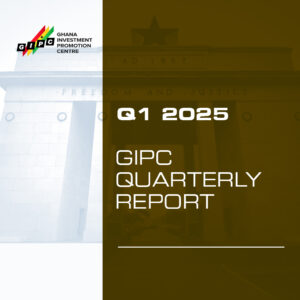 Q1 Report 2025